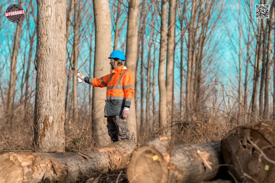 forestry-technician-marking-tree